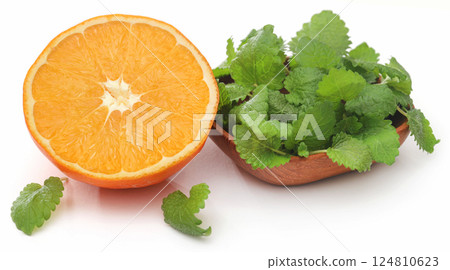 Lemon balm 124810623