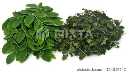 Moringa leaves Moringa leaves 124810642