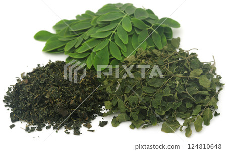 Moringa leaves Moringa leaves 124810648