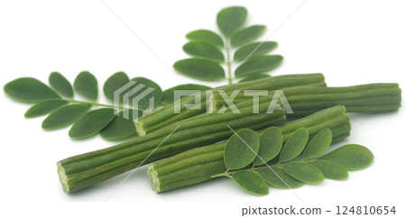 Edible moringa with fresh leaves 124810654