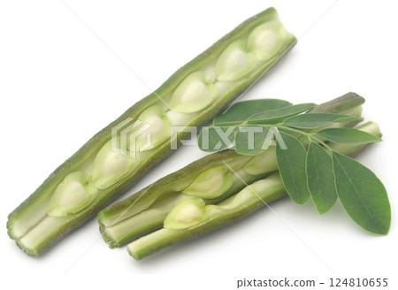 Edible moringa with fresh leaves Edible moringa with fresh leaves 124810655