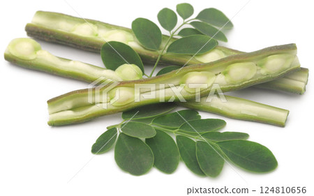 Edible moringa with fresh leaves 124810656