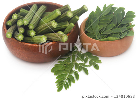 Edible moringa with fresh leaves Edible moringa with fresh leaves 124810658