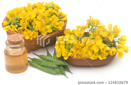 Mustard flowers with beans and oil 124810679