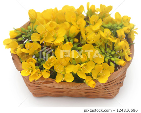 Closeup of mustard flower Closeup of mustard flower 124810680