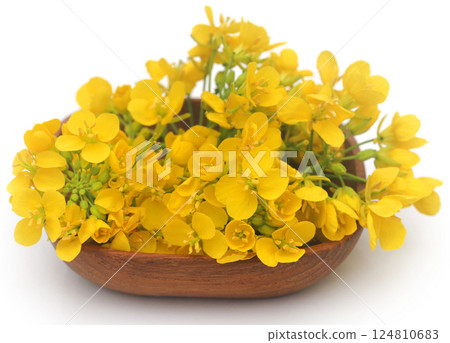 Edible mustard flower 124810683