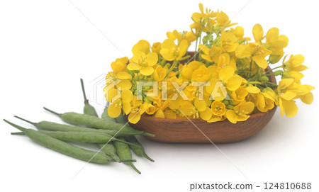 Closeup of mustard flowers 124810688