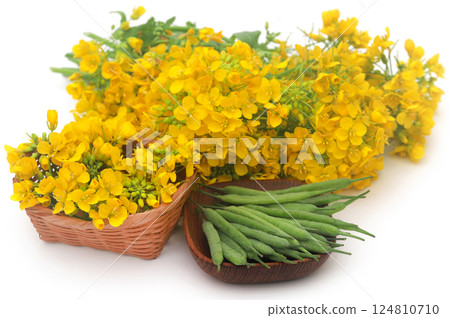 Closeup of mustard flowers Closeup of mustard flowers 124810710