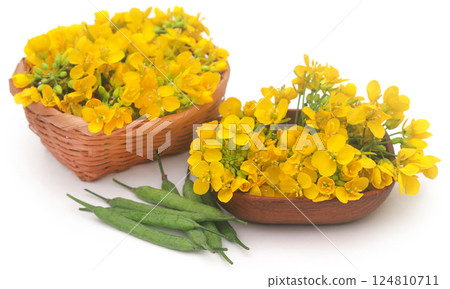 Closeup of mustard flowers 124810711