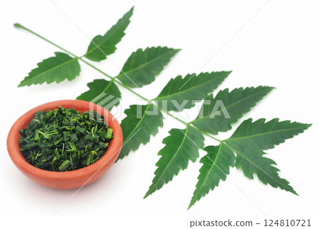 Medicinal neem leaves 124810721