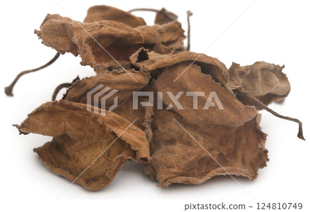 Dried oregano leaves Dried oregano leaves 124810749