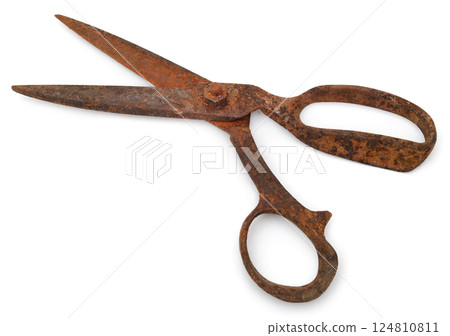 Rusty scissors Rusty scissors 124810811