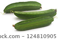Winged bean 124810905