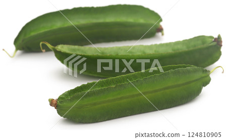 Winged bean Winged bean 124810905
