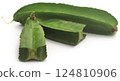 Winged bean 124810906
