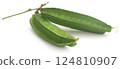 Winged bean 124810907