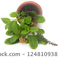 Medicinal tulsi leaves 124810938