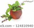 Medicinal tulsi leaves 124810940