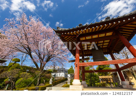 Angyohara, Kawaguchi City, Saitama Prefecture, Kaijusan Manpukuji Temple Mikkō-in Temple, Angyo Sakura and Bell Tower 124812157
