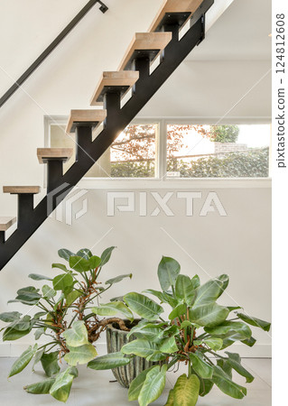 A contemporary indoor staircase featuring sleek black railings and wooden steps, complemented by lush green plants in decorative pots. 124812608