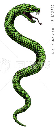 Snake Coiled Serpent Vintage Style Illustration 124812742