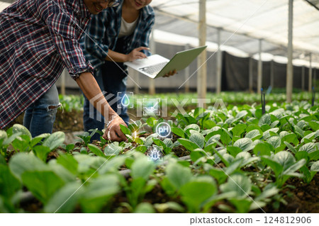 Two farmers examining young plants in a greenhouse while using laptop and smart farming technology Two farmers examining young plants in a greenhouse while using laptop and smart farming technology 124812906