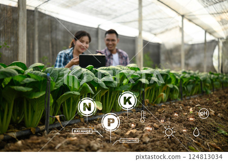 Farmers using digital tablet to monitor nutrient levels and soil conditions in a greenhouse 124813034