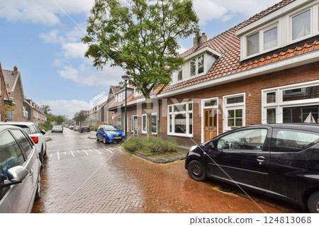 A quaint residential street featuring several parked cars and houses with well-kept facades, illuminated by soft daylight after rainfall. A tree adds a touch of greenery. 124813068