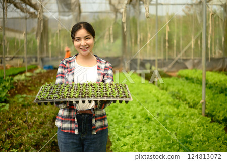 Smiling agricultural entrepreneur holding a tray of vegetable seedlings inside a greenhouse 124813072