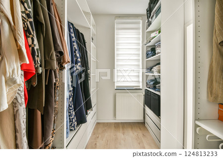 A neatly arranged modern closet showcasing various clothing options and accessories. The organized layout emphasizes functionality and aesthetics. A neatly arranged modern closet showcasing various clothing options and accessories. The organized layout emphasizes functionality and aesthetics. 124813233