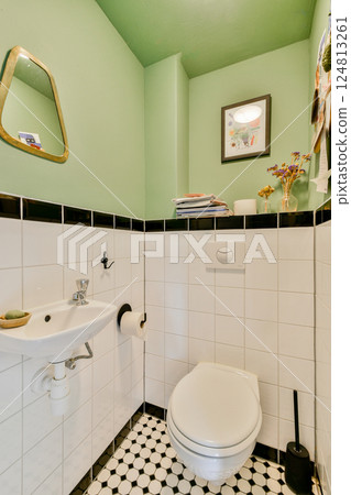 A contemporary bathroom featuring green walls, stylish fixtures, and a chic design. Ideal for inspiration in modern interior decoration. 124813261