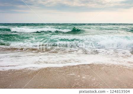 seascape in morning light. bad vacation season background. tide and foam on the shoreline. stormy weather with cloudy sky in summer. sea wave crashing on the shore. wind freshness 124813504