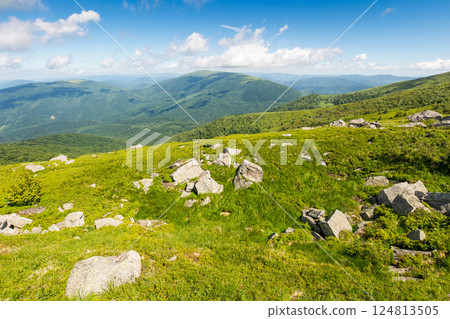green alpine hills and slopes in summer. landscape with stones and boulders among the grass under a blue sky with clouds. travel background. scenic vacations in mountains of ukraine on a sunny morning 124813505