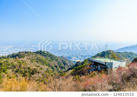 兵庫縣神戶市六甲山瞭望台的春景 124813510