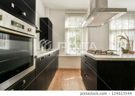 A stylish modern kitchen featuring sleek cabinetry, bright natural lighting, and an elegant design that combines functionality with aesthetics. A stylish modern kitchen featuring sleek cabinetry, bright natural lighting, and an elegant design that combines functionality with aesthetics. 124813544