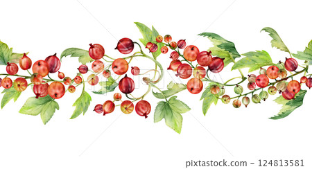 Currant gooseberry with leaves in clusters, ripe berry casseille juneberry jostaberry, hand drawn in watercolor. Isolated seamless banner border garland. Dessert menu, eco farmers market, gardening. Currant gooseberry with leaves in clusters, ripe berry casseille juneberry jostaberry, hand drawn in watercolor. Isolated seamless banner border garland. Dessert menu, eco farmers market, gardening. 124813581