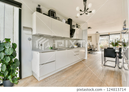 Bright and stylish kitchen featuring modern cabinetry, elegant flooring, and indoor plants, seamlessly blending functionality with aesthetics. 124813714