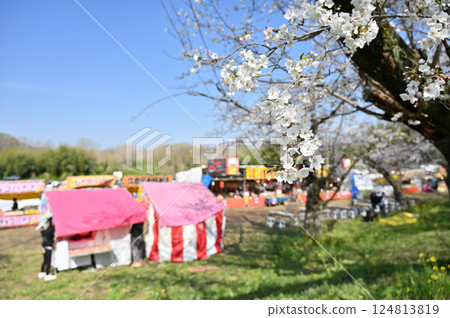 Cherry blossoms in full bloom - Cherry blossom viewing season has arrived! Cheers to the stalls! Spring ingredients Cherry blossoms in full bloom - Cherry blossom viewing season has arrived! Cheers to the stalls! Spring ingredients 124813819
