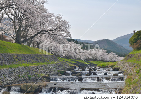 京都府與謝野町野田川臨水公園 京都府與謝野町野田川臨水公園 124814076
