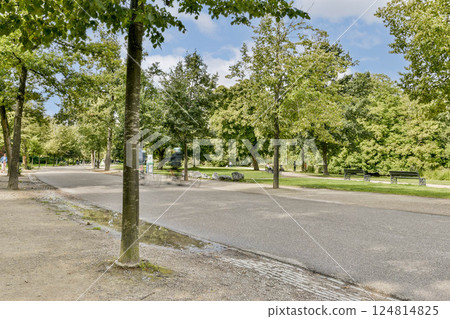 A peaceful pathway meanders through a verdant park, flanked by vibrant green trees. Benches invite visitors to relax amidst nature's beauty. A peaceful pathway meanders through a verdant park, flanked by vibrant green trees. Benches invite visitors to relax amidst nature's beauty. 124814825
