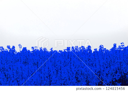 Background with flowers on white and place for text Background with flowers on white and place for text 124815456