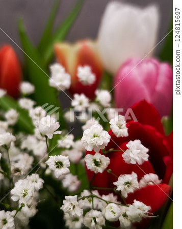 Colorful tulips and delicate baby's breath flowers are arranged in a bouquet, creating a vibrant and romantic display for Mother's Day Valentines Colorful tulips and delicate baby's breath flowers are arranged in a bouquet, creating a vibrant and romantic display for Mother's Day Valentines 124815697