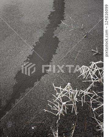 Frozen river in prague showing melting ice pond and frosted plants in december Nature park Smetanka 124816099