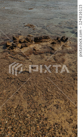 Rocks emerging from shallow water on the red sea coastline 124816115