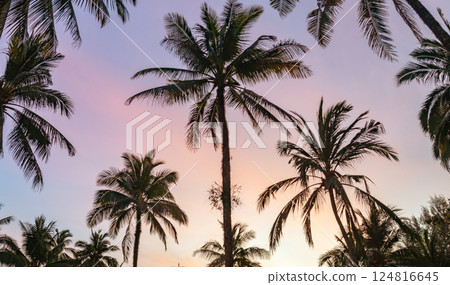 Tropical Sunset with Palm Trees Silhouette against a stunning, colorful sky during a peaceful evening at the beach Tropical Sunset with Palm Trees Silhouette against a stunning, colorful sky during a peaceful evening at the beach 124816645