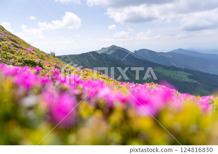 Morning sunlight illuminating the Carpathian Mountains 124816830