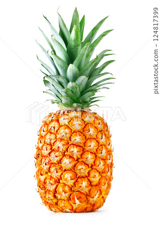 whole pineapple isolated on white background 124817399