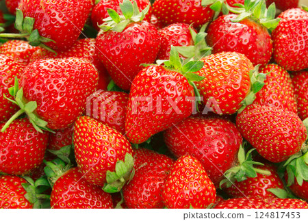 Background from freshly harvested strawberrie Background from freshly harvested strawberrie 124817453