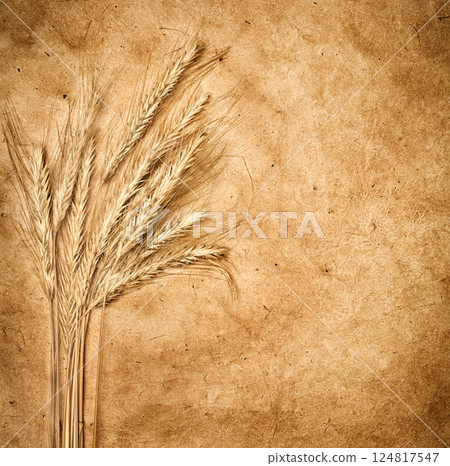 sheet of paper with ears of wheat 124817547