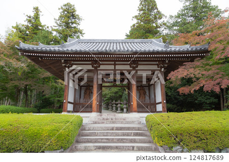 [Japan] The gate of Noninji Temple in Hanno, Saitama Prefecture, with neatly trimmed hedges and trees with autumn leaves 124817689